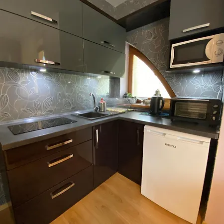 Zakohome Panorama Lägenhet Kościelisko