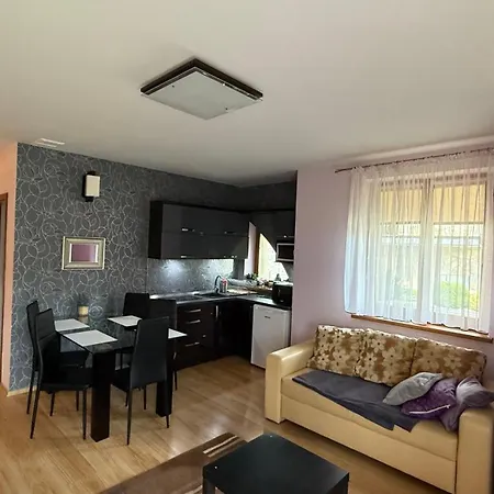 Lägenhet Zakohome Panorama Kościelisko